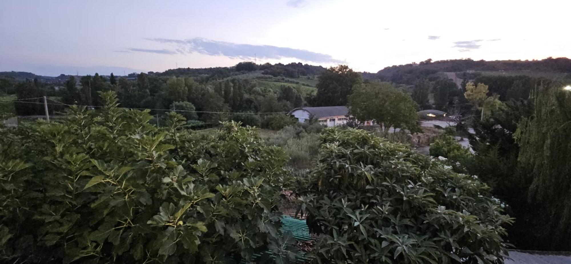 La Casa Di Nonno Nicola *